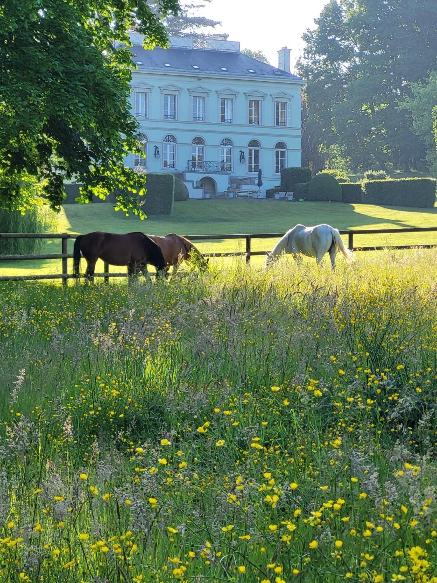 La Maison Du Cavalier, Chateau De Lavenue Pierrefitte-en-Auge 외부 사진